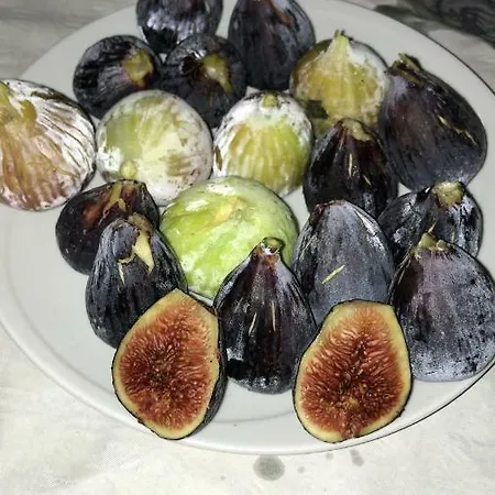 Bed and Breakfast Domus De Janas