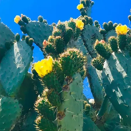 ベッド・アンド・ブレックファスト Domus De Janas 4*